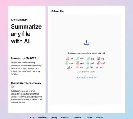 Screenshot of the site of Any Summary