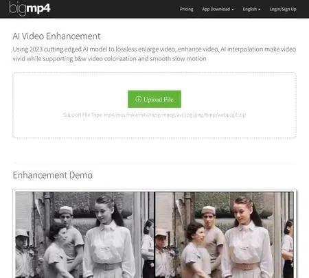 Screenshot of the site of bigmp4