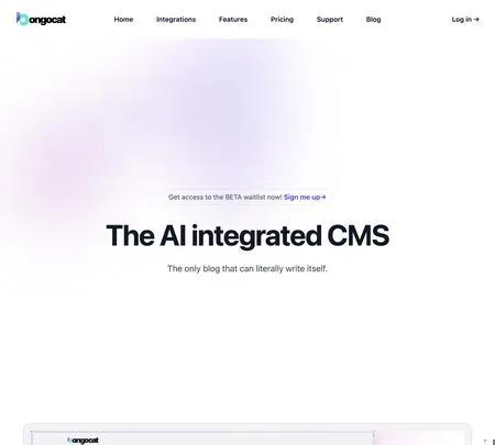 Screenshot of the site of Bongocat