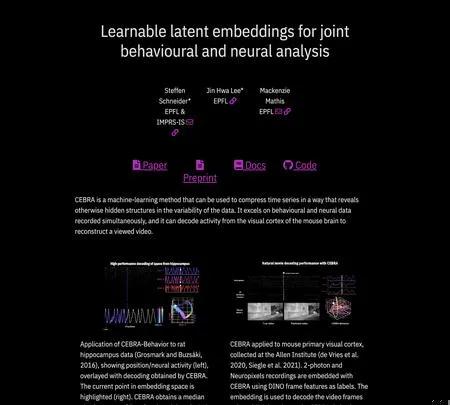 Screenshot of the site of Cebra