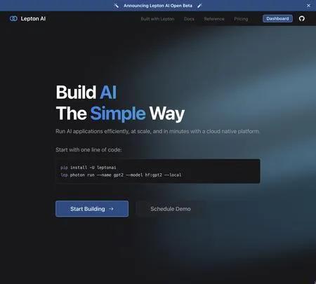 Screenshot of the site of Lepton