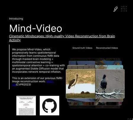 Screenshot of the site of Mind Video