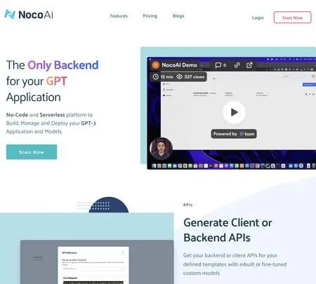 Screenshot of the site of NocoAI