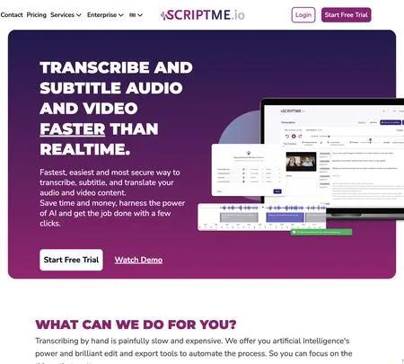 Screenshot of the site of ScriptMe