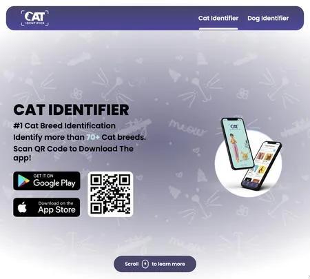 Screenshot of the site of Cat Identifier