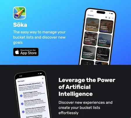 Screenshot of the site of Soka