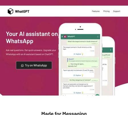 Screenshot of the site of WhatGPT