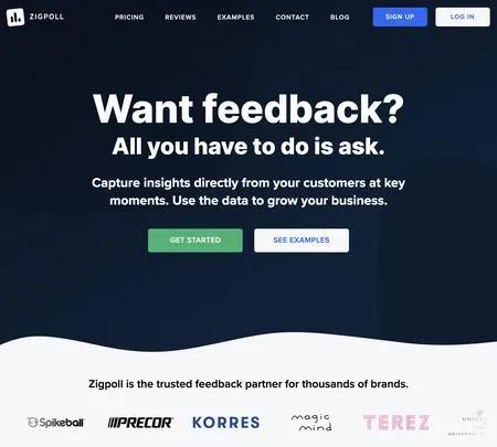 Screenshot of the site of Zigpoll