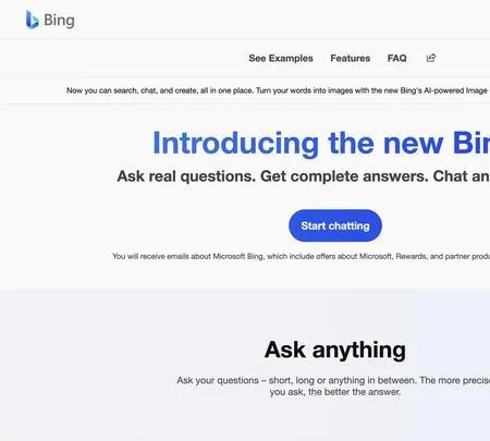 Screenshot of the site of Bing Chatting