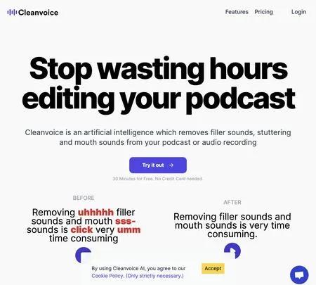 Screenshot of the site of Cleanvoice AI